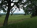 2010-05- (82)